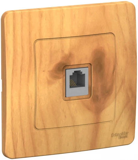 BLNIS011005 Телефонная розетка встраиваемая RJ-11 (ясень) Systeme Electric Blanca BLNIS011005