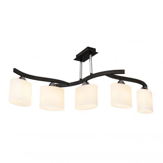 234.59.5 Потолочная люстра Silver Light Astoria 234.59.5