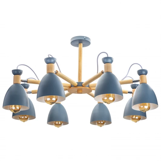 52598 1 Потолочная люстра на штанге Ritter Volante 52598 1