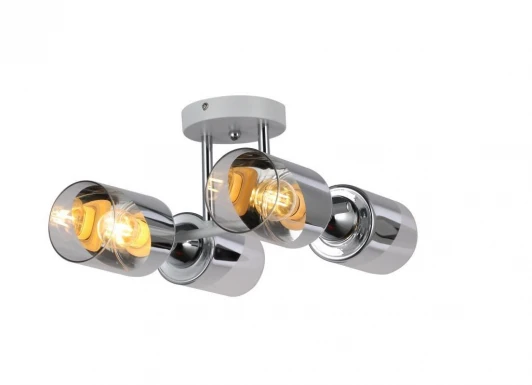 FR5226PL-04W Потолочная люстра на штанге Freya Dual FR5226PL-04W