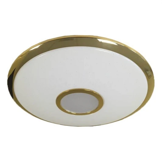 CL70342R Потолочный светильник Citilux Старлайт R CL70342R