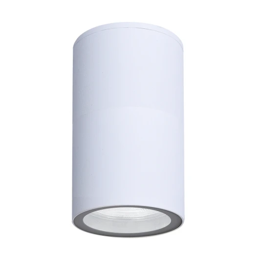 A3302PF-1WH Потолочный уличный светильник Arte Lamp Mistero A3302PF-1WH (220V, круглые, IP65)