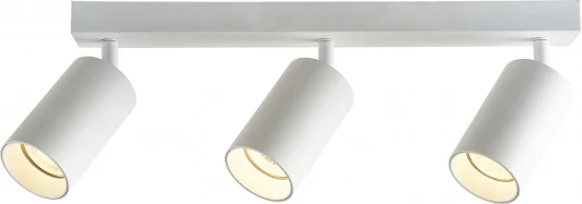 BR08087 Потолочный светильник спот Brizzi Aras BR08087