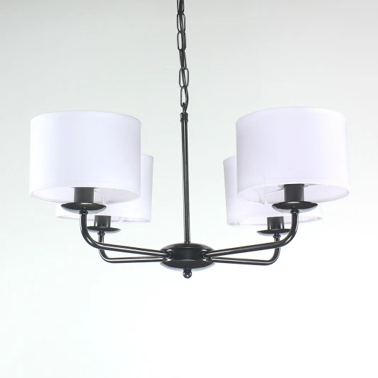 DN12564 Подвесная люстра Day&Night DN12564