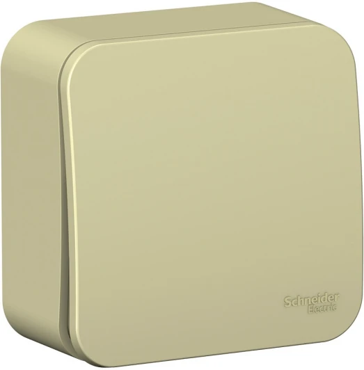 BLNVA106017 Выключатель накладной одноклавишный (бежевый) Systeme Electric Blanca BLNVA106017