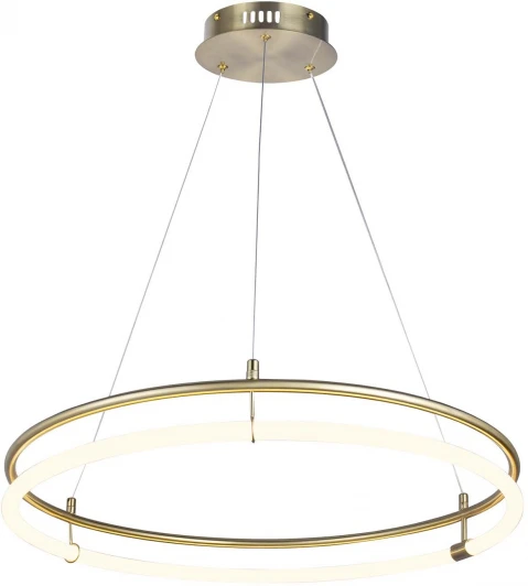 4629-6P Подвесной светильник Favourite Girth 4629-6P (LED, 220V, на тросе, кольцо)