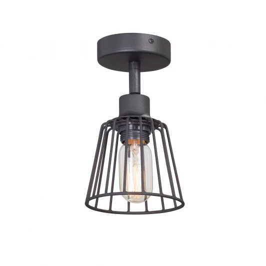 V4589-1/1PL Потолочная люстра Vitaluce V4589-1/1PL (220V, круглые)