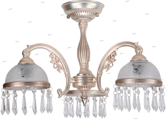 24-006-03C Adelluce 240006 24-006-03C