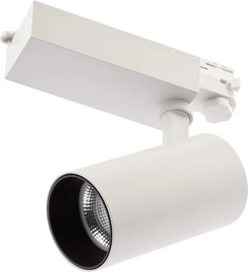 SТR-30-36-30K-W30 Трековый светильник ЭРА SТR-30-36-30K-W30 (LED, 220V, круглые, IP40)