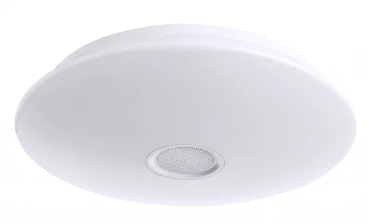 A5524PL-1WH Потолочный светильник Arte Lamp Suono A5524PL-1WH