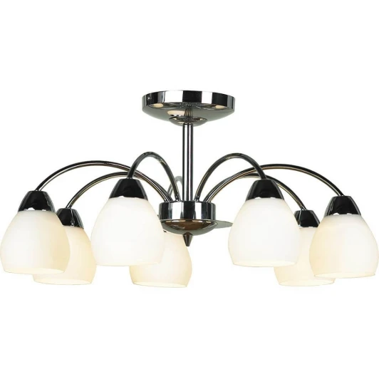 GRLSF-2403-07 Потолочная люстра Lussole Loft Apiro GRLSF-2403-07