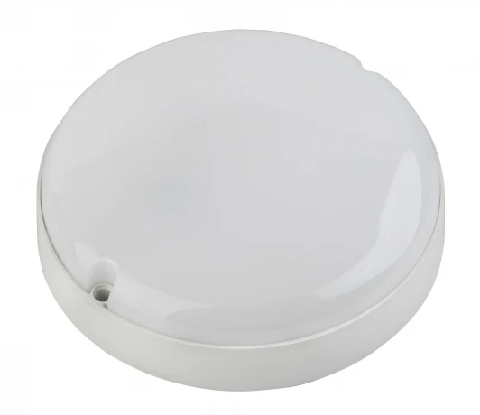 SPB-201-0-40K-015 Настенно-потолочный светильник Эра SPB-201-0-40К-015 (LED, 220V, круглые, IP65)