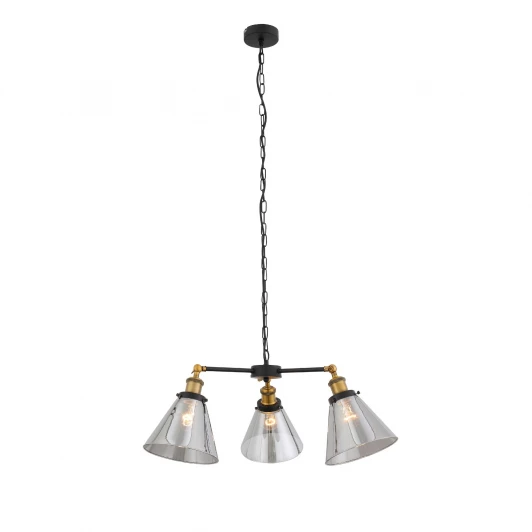 SL237.403.03 Подвесная люстра ST Luce Evoluto SL237.403.03