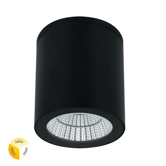 A1313PF-1BK Уличный потолочный светильник Arte Lamp Torcular A1313PF-1BK