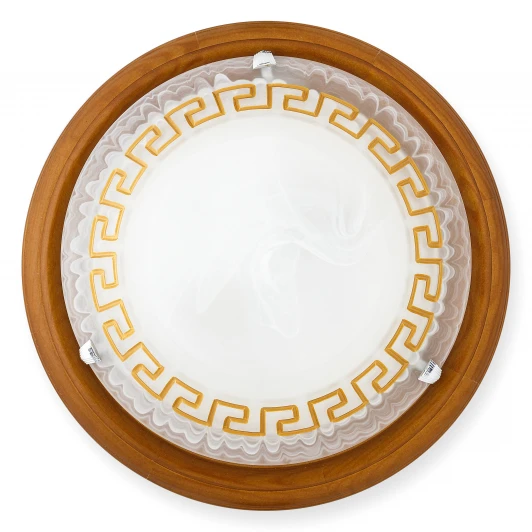 TL9173Y-02OA Настенно-потолочный светильник Toplight Gien TL9173Y-02OA