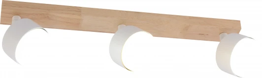 7078-703 Настенно-потолочный спот Rivoli Vivian 7078-703 3хGX53 15 Вт поворотный