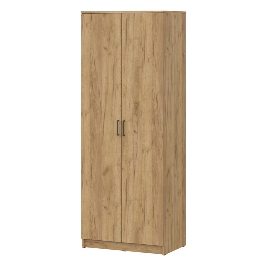 00-00263171 Шкаф распашной Арника ШК 2, Дуб золотой