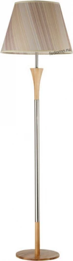 3669281/1F Adelluce 3669281 3669281/1F