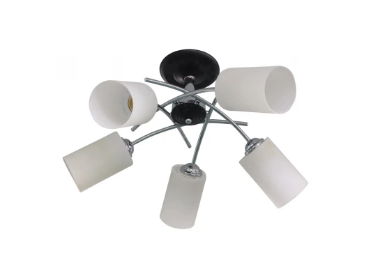 1522/5C Потолочная люстра J-Light Roxy 1522/5C