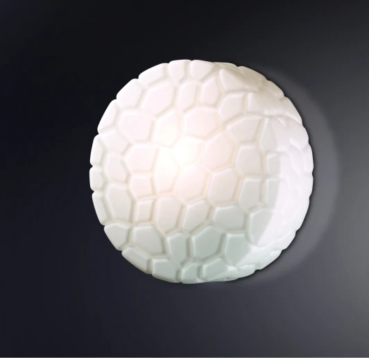 2246/2C Настенно-потолочный светильник Odeon Light Luno 2246/2C