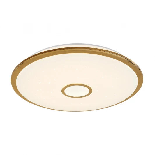 CL703102R Потолочный светильник Citilux Старлайт R CL703102R