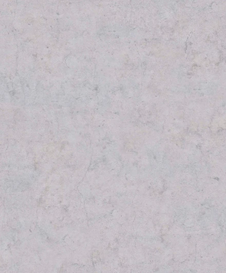 BN 219820 Рулонные обои BN International BN 219820