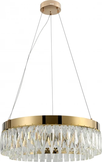 6129-101 Подвесной светильник светодиодный Rivoli Mary 6129-101 (220V, на тросе, круглые)