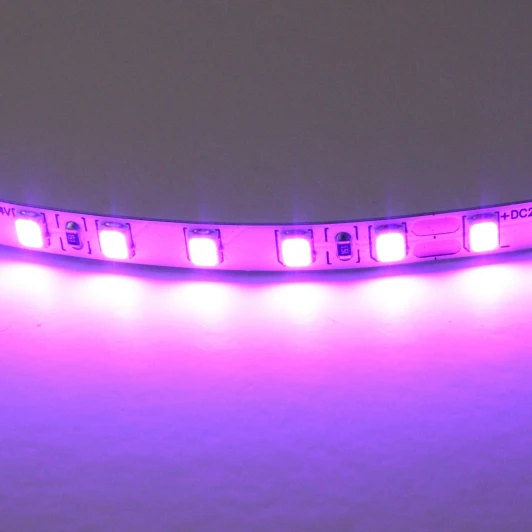 420518 Светодиодная лента цветного свечения 24V, фиолетовый Lightstar 420518