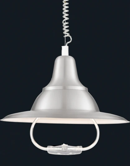 A3638SP-1SS Подвесной светильник Arte Lamp Pendants A3638SP-1SS