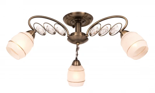 206.53.3 Потолочная люстра Silver Light Spark 206.53.3