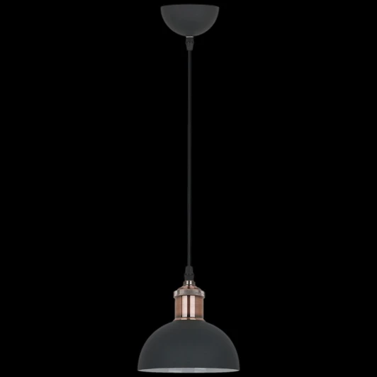 08199-0.9-01S BK Подвесной светильник Reluce 08199-0.9-01S BK (220V, на проводе)