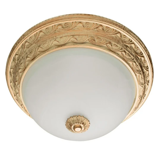 A8013PL-2WA Потолочный светильник Arte Lamp Piatti A8013PL-2WA