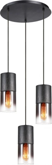 LSP-8968 Подвесной светильник Lussole LSP-8968 (220V, на проводе, круглые)