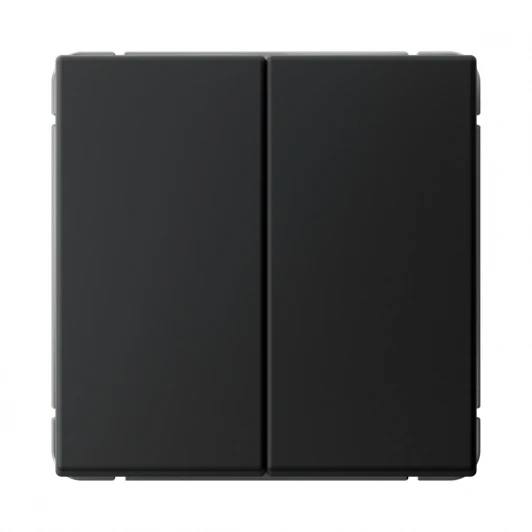 GAL001051S Выключатель двухклавишный (карбон) Systeme Electric GAL001051S