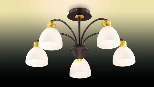 2624/5C Потолочная люстра Odeon Light Tanais 2624/5C