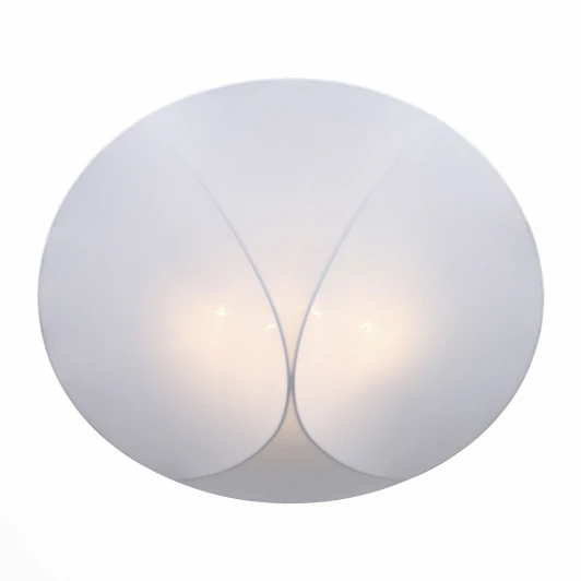 SL360.552.04 Потолочный светильник ST Luce Tonico SL360.552.04