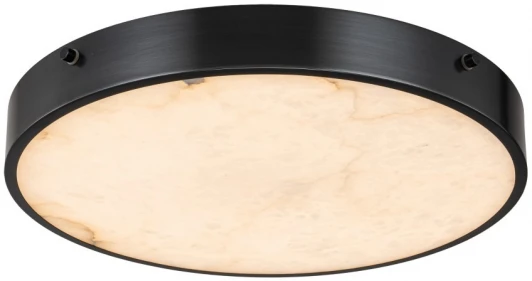 3395-4 BL MB Потолочный светильник Belfast Devon 3395-4 BL MB