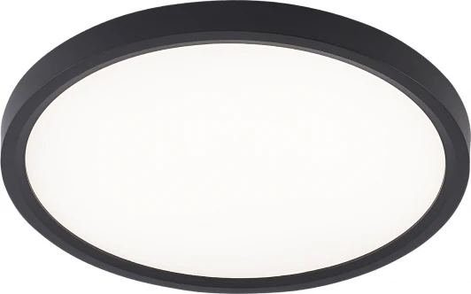 LED LAMPS 81114/2C Потолочный светильник светодиодный 18W, черный Natali Kovaltseva Plain LED LAMPS 81114/2C