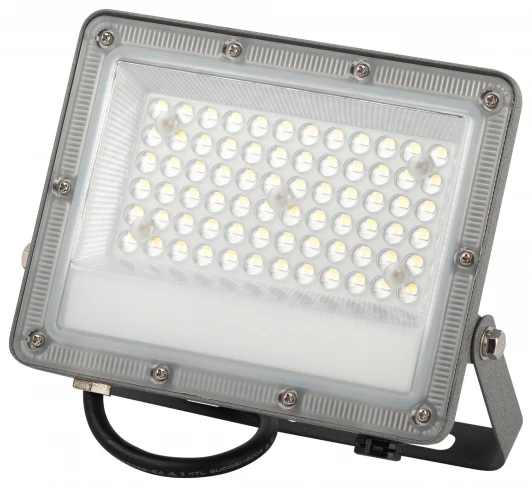 LPR-063-0-65K-050 Прожектор уличный светодиодный ЭРА LPR-06 LPR-063-0-65K-050