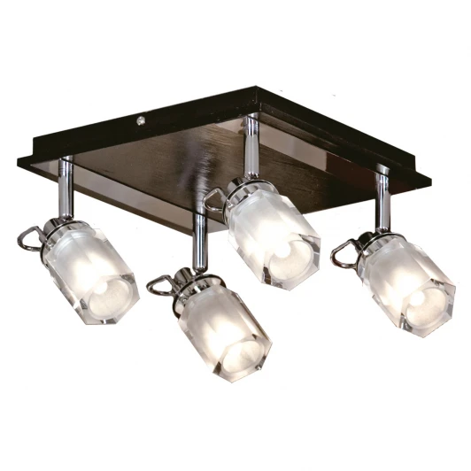 LSL-7901-04 Потолочный светильник Lussole Abruzzi LSL-7901-04