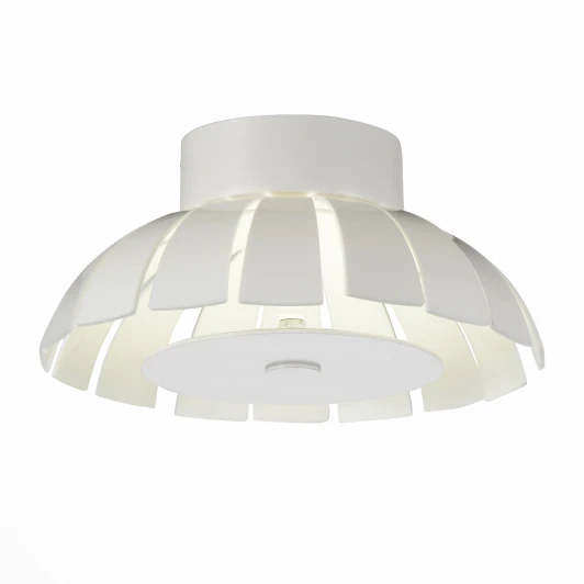 SL559.503.01 Потолочный светильник уличный ST Luce Corto SL559.503.01