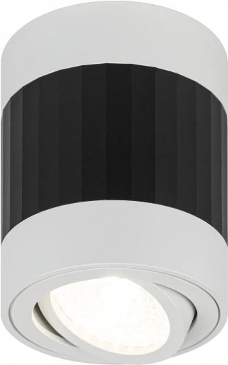 OL34 WH/BK Точечный светильник ЭРА OL34 WH/BK