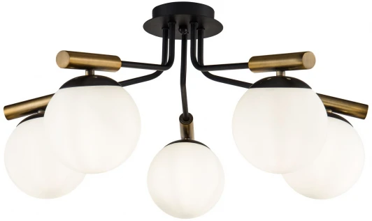 FR5011CL-05B Потолочная люстра Freya Paolina FR5011CL-05B (220V, шарики)