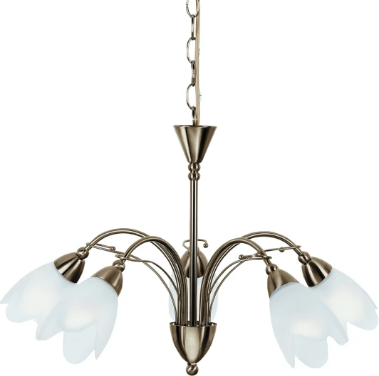 A4905LM-5AB Подвесная люстра Arte Lamp Petal A4905LM-5AB