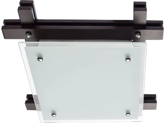 A6462PL-2CK Потолочный светильник Arte Lamp Archimede A6462PL-2CK