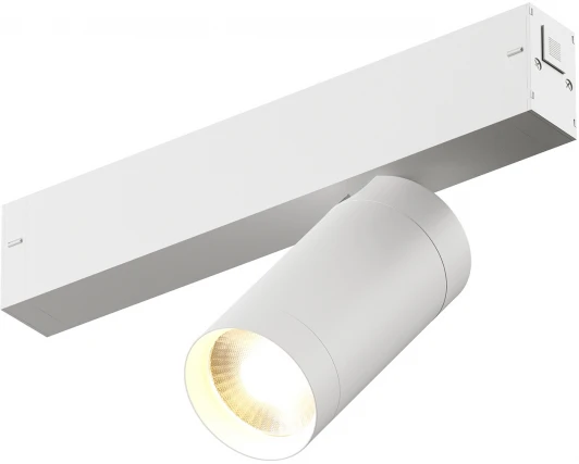 DK8010-WH Трековый светильник Denkirs Smart DK8010-WH (LED, 220V, голосовое управление, пульт управления, управление смартфоном, умный дом - Алиса, круглые)