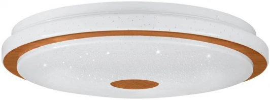 900598 Настенно-потолочный светильник светодиодный Eglo LANCIANO 1 900598 (220V, круглые)