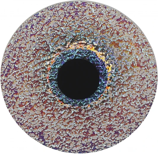 SL6142.421.01 Настенный светильник ST Luce Alumno SL6142.421.01 черный/радужный LED 1*7W 4000K (220V, круглые)