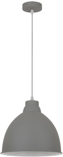 A2055SP-1GY Подвесной светильник Arte Lamp Braccio A2055SP-1GY