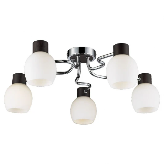 LSC-8503-05 Потолочная люстра Lussole Carpino LSC-8503-05